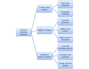 diagram of main ways to increase customer revenues